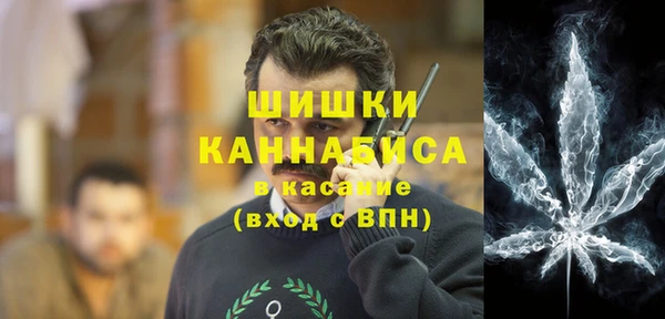бошки Елабуга