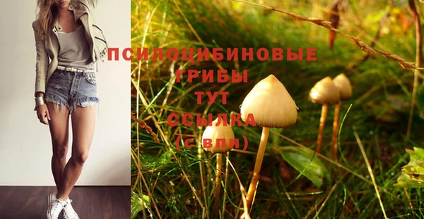 MDMA Premium VHQ Ельня