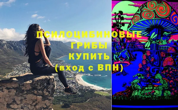MDMA Premium VHQ Ельня